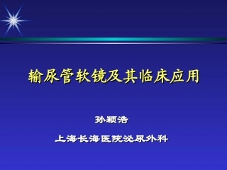输尿管软镜及其应用