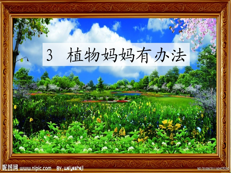 二年级语文上册-3植物妈妈有办法课件-人教版_第1页