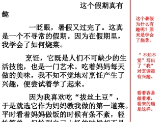 小学作文例文(带批注)