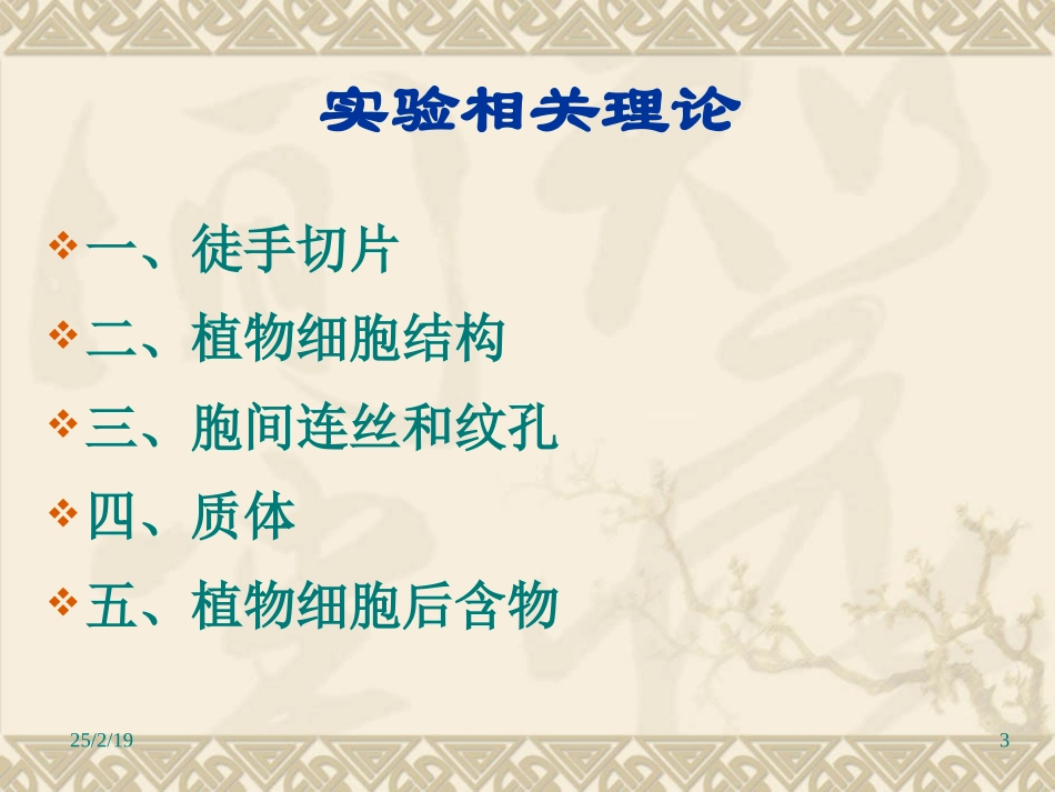 实验二 徒手切片及植物细胞观察_第3页
