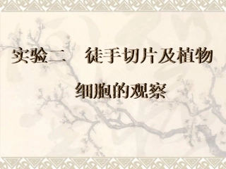 实验二 徒手切片及植物细胞观察