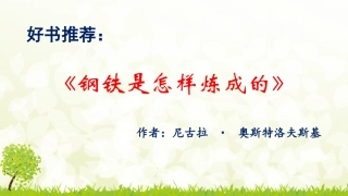 好书推荐——钢铁是怎样炼成的