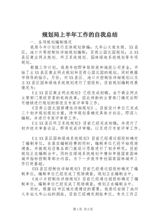 规划局上半年工作的自我总结 