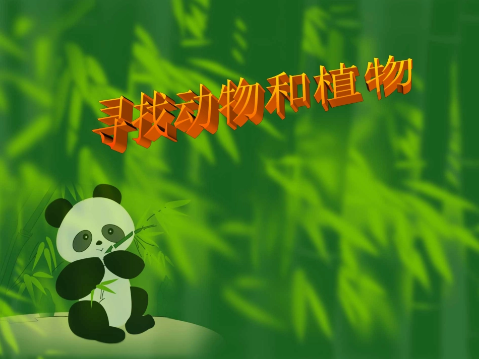 科学三年级上冀教版3寻找动物和植物课件1_第1页