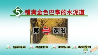 铺满金色巴掌的水泥道(第2课时)课件