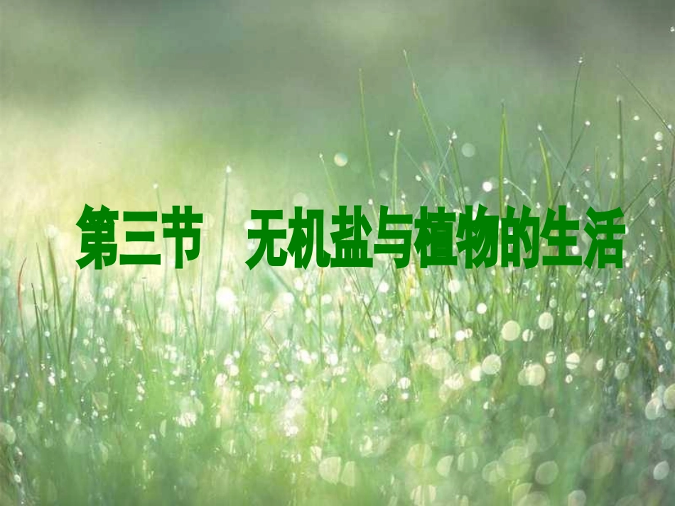 无机盐与植物的生长_第1页
