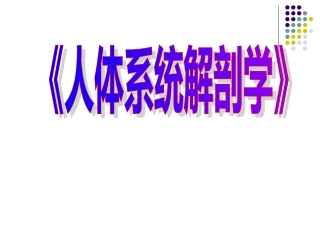 人体解剖学课件-全