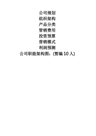 新公司成立规划策划方案