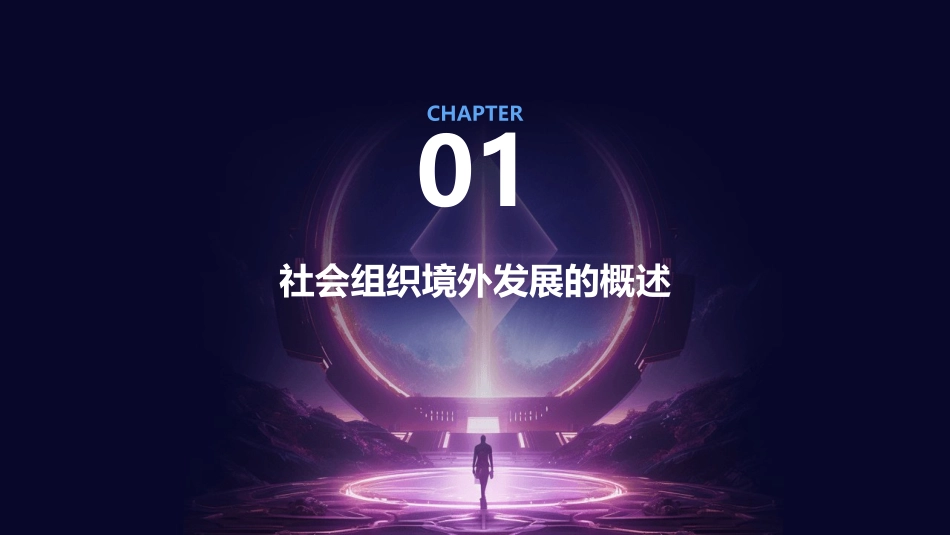 社会组织在境外的发展课件_第3页