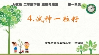 4试种一粒籽