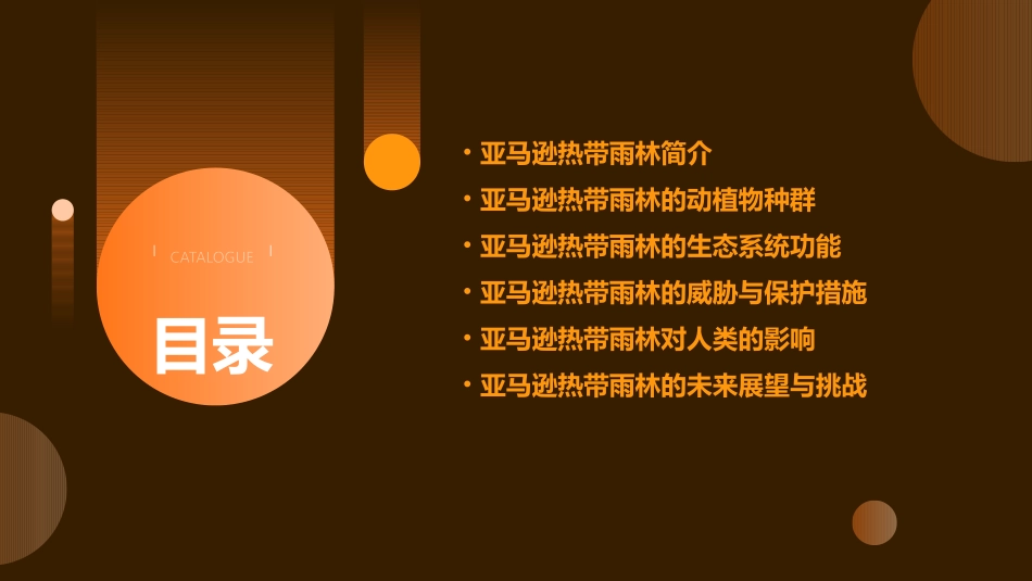 以亚马逊热带雨林为例课件_第2页