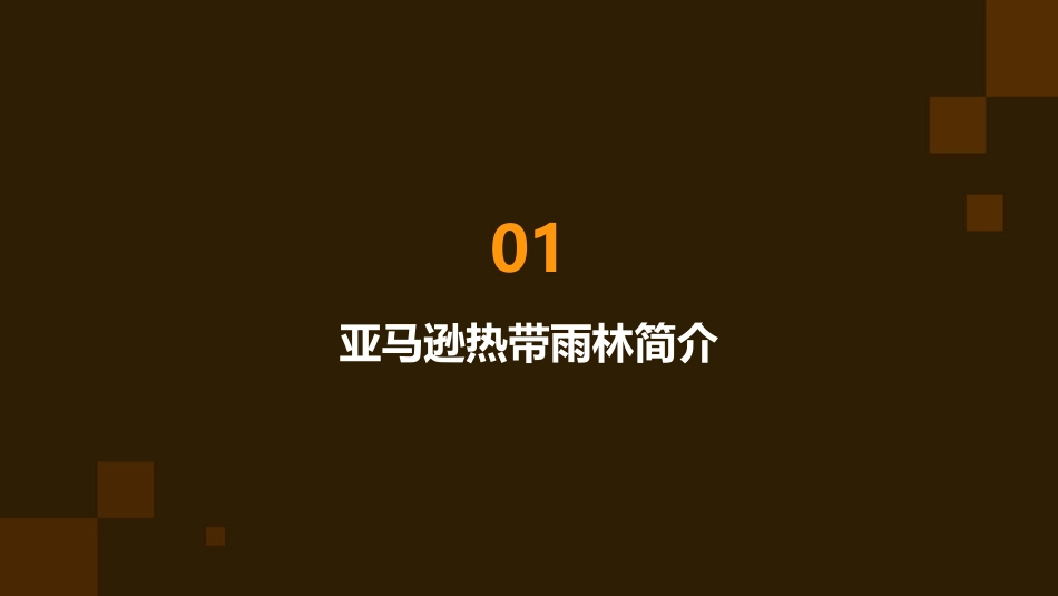 以亚马逊热带雨林为例课件_第3页