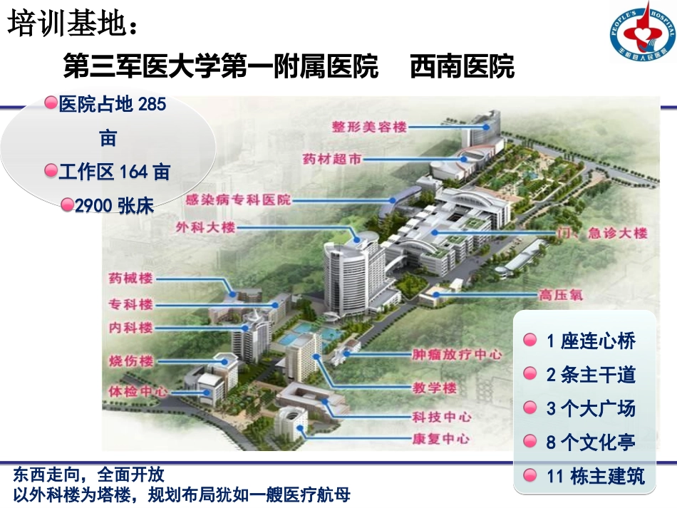 临床药师进修结业汇报_第3页