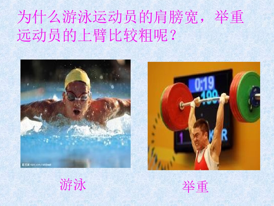 四年级科学《生命在于运动》_幻灯片_第3页
