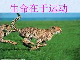 四年级科学《生命在于运动》_幻灯片