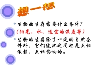 食物链和食物网 (1)