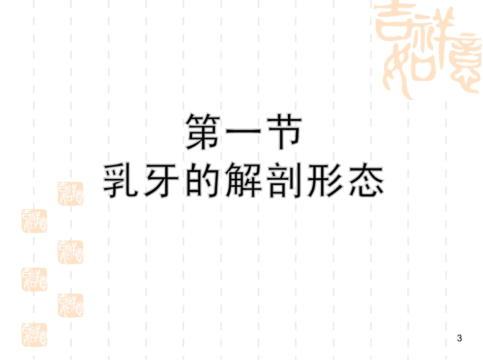乳牙及年轻恒牙解剖结构与组织结构特点第4版2013年_第3页