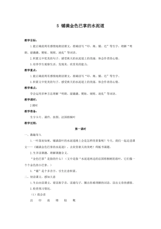 5--铺满金色巴掌的水泥道