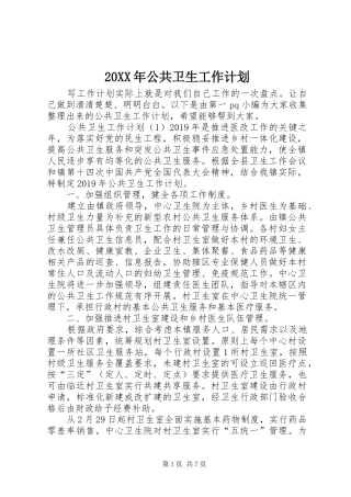 20XX年公共卫生工作计划