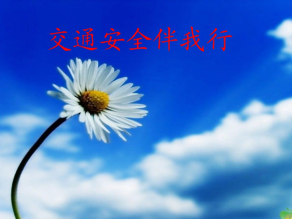 交通安全伴我行ppt_第1页