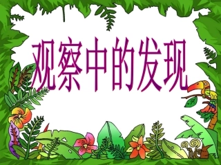 人教版四年级上册第二单元观察作文PPT