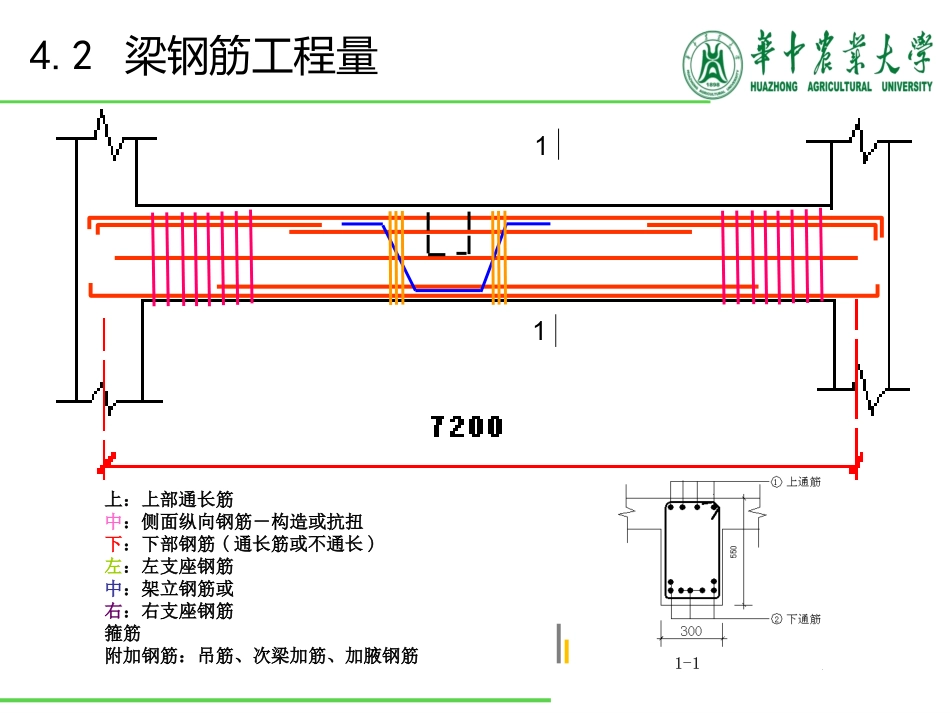 梁钢筋工程计算_第2页