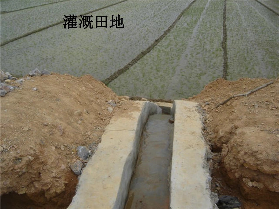《我是什么》课件-(2)_第2页