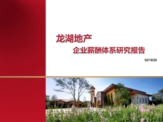 龙湖地产薪酬体系