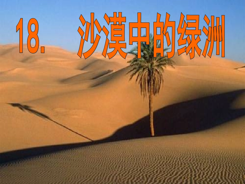 沙漠中的绿洲ppt_第1页