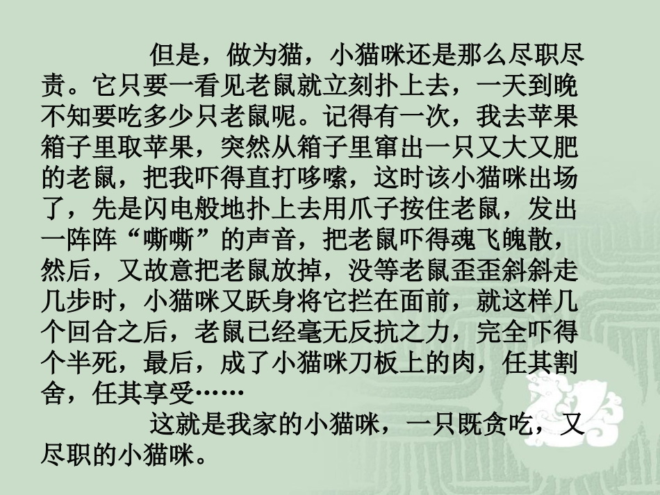 观察日记范文_第2页