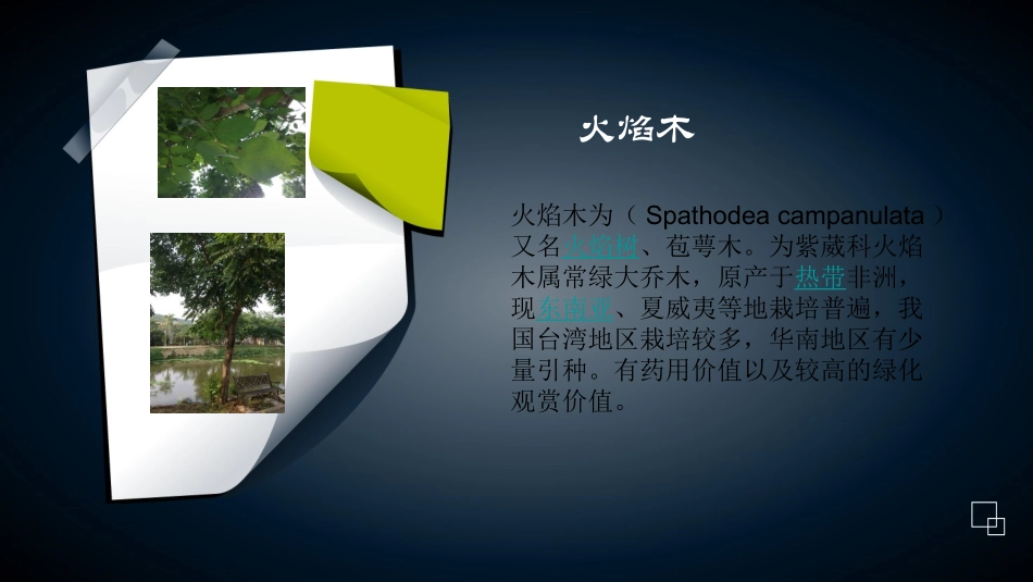 园林植物辨识_第2页