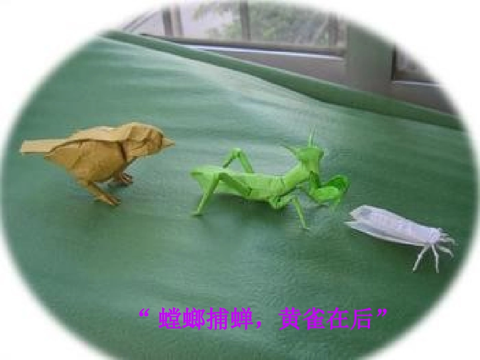 科学五年级上册《食物链和食物网》课件_第1页