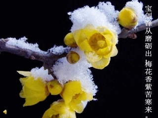 20--《20学会看病》定稿.ppt222222222