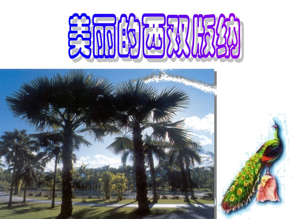 初中语文苏教版八年级上册第四单元第19课：《美丽的西双版纳》课件_第3页