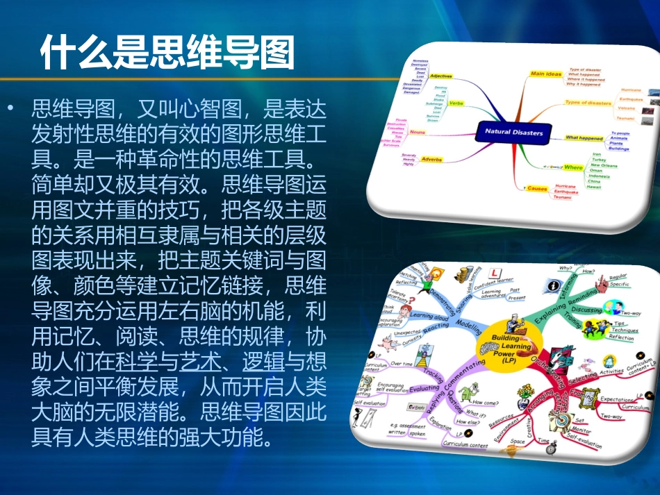 思维导图规划生活_第3页