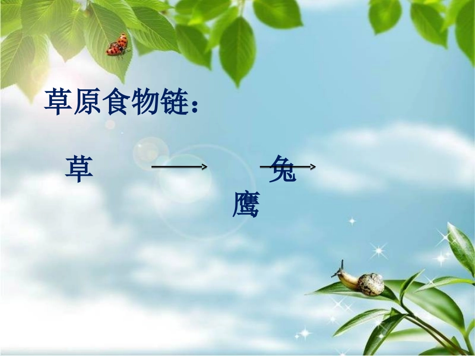 教科版五年级科学上册《维护生态平衡》课件_第2页