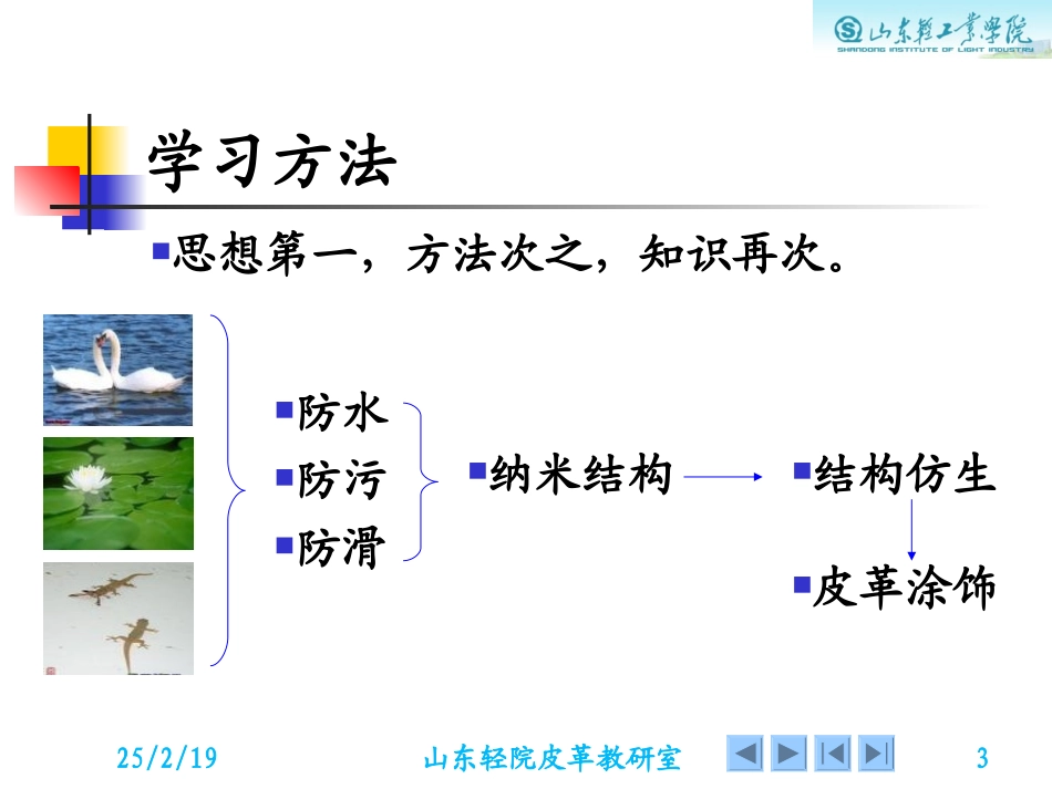 皮革化工材料_第3页