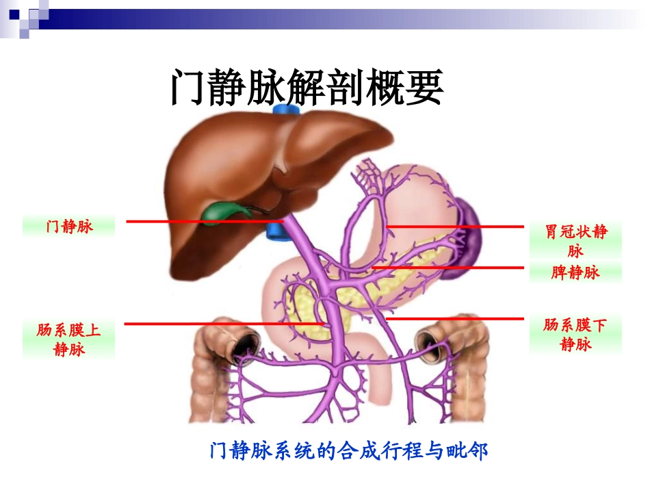 门静脉高压症(陈孝平)_第3页