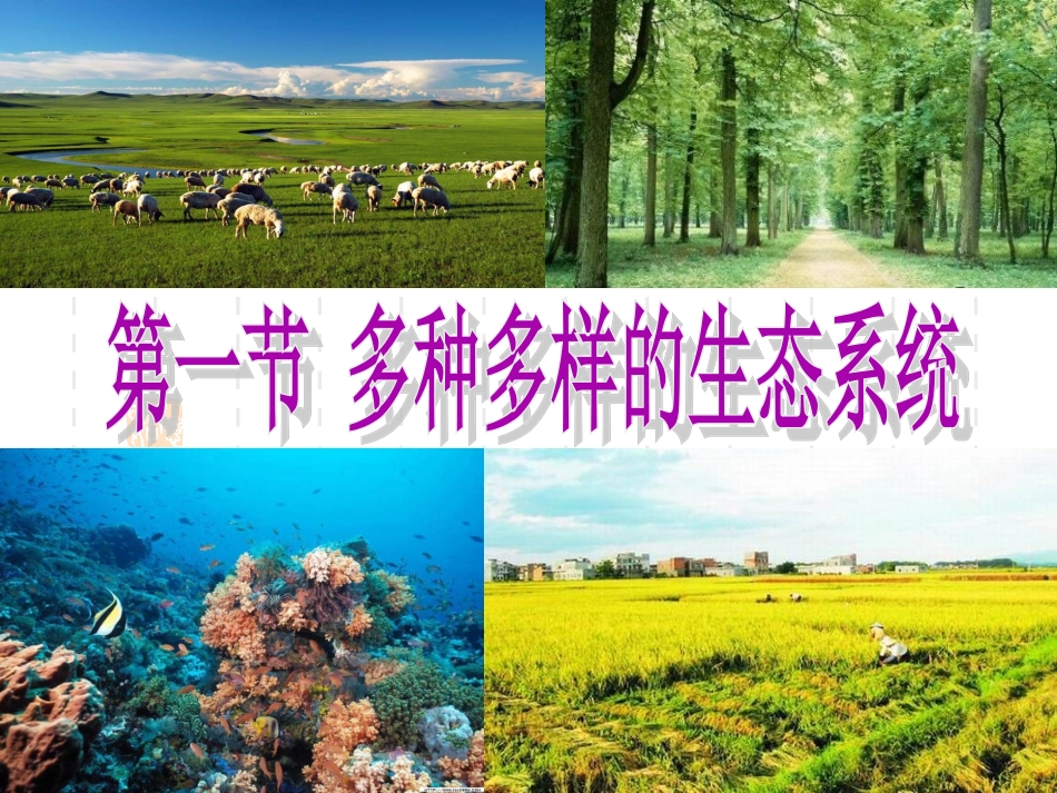 多种多样的生态系统ppt_第2页