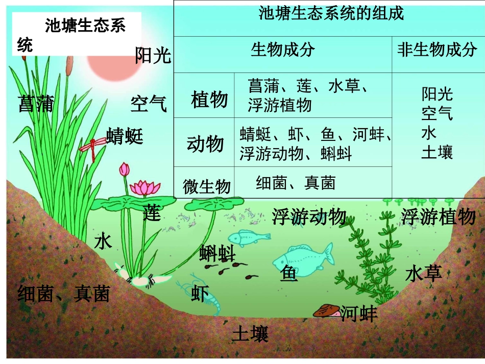 多种多样的生态系统ppt_第3页