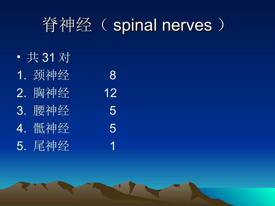 脊神经的体表定位_第2页