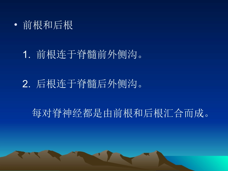 脊神经的体表定位_第3页