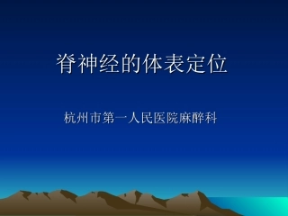脊神经的体表定位