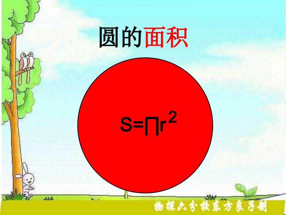 探索圆的面积公式_第1页