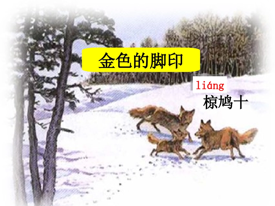小学语文六年级上册第24课金色的脚印PPT_第2页