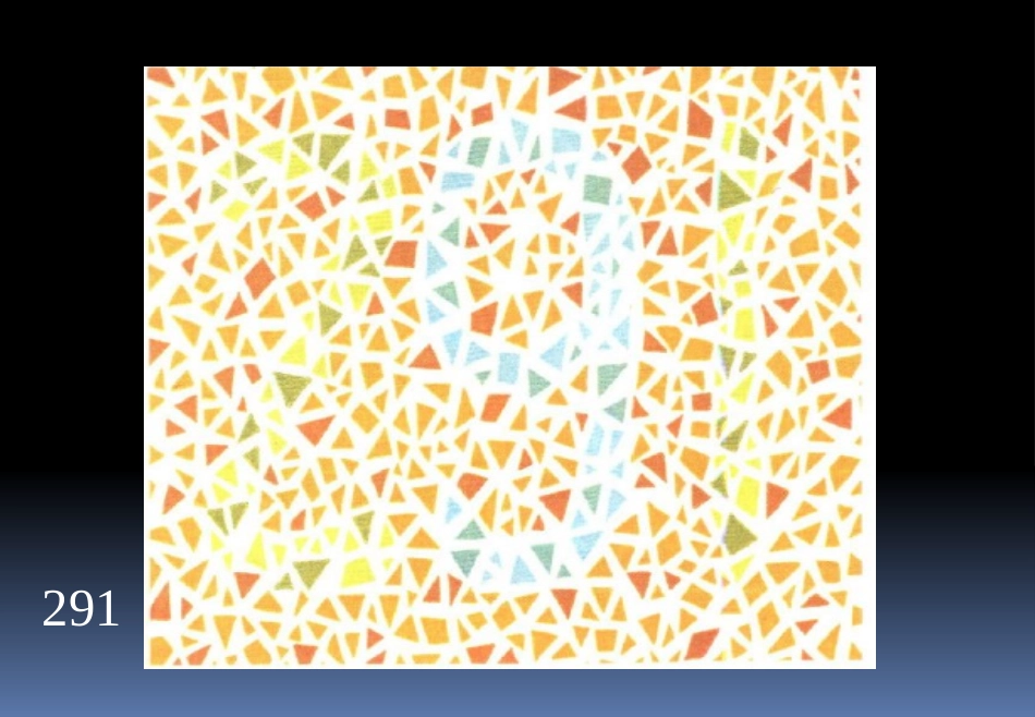 色盲检测图(第五版)_第2页