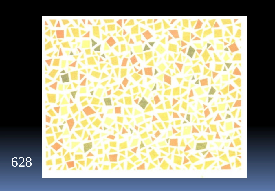 色盲检测图(第五版)_第3页