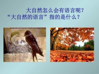 《大自然的语言》思考题
