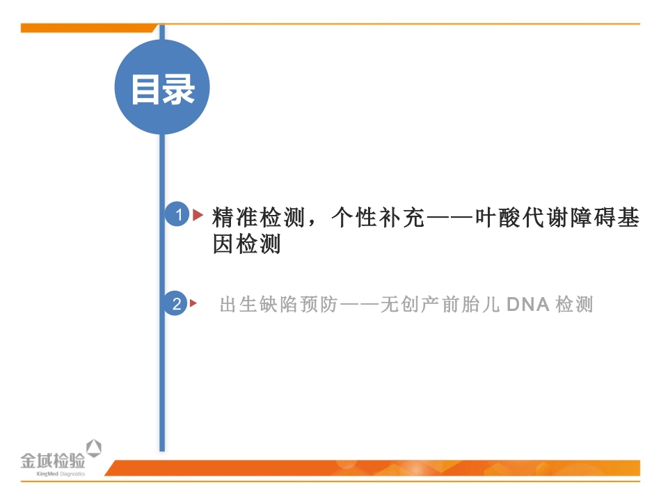 叶酸+无创(孕期检测项目PPT)_第2页