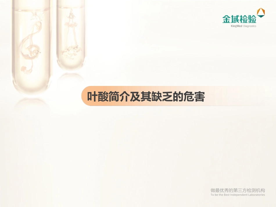 叶酸+无创(孕期检测项目PPT)_第3页